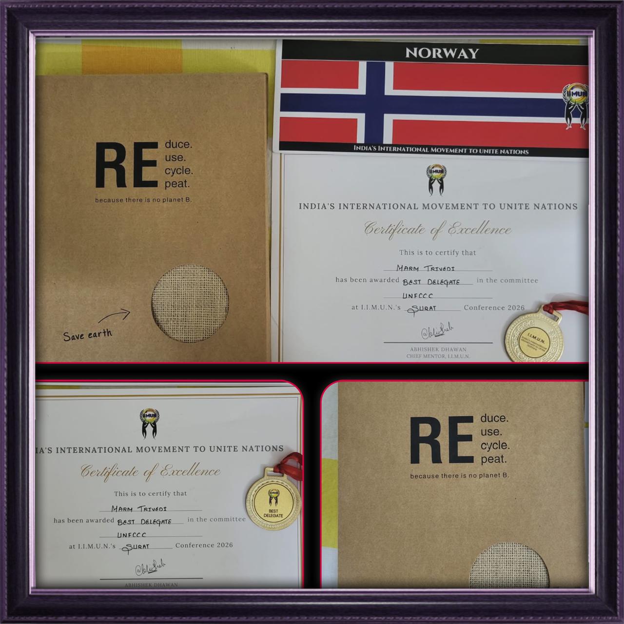 IIMUN Best Delegate certificate and medal
